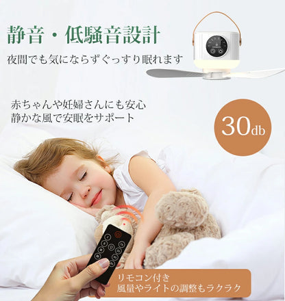 SkyFan™ 天井扇風ライト